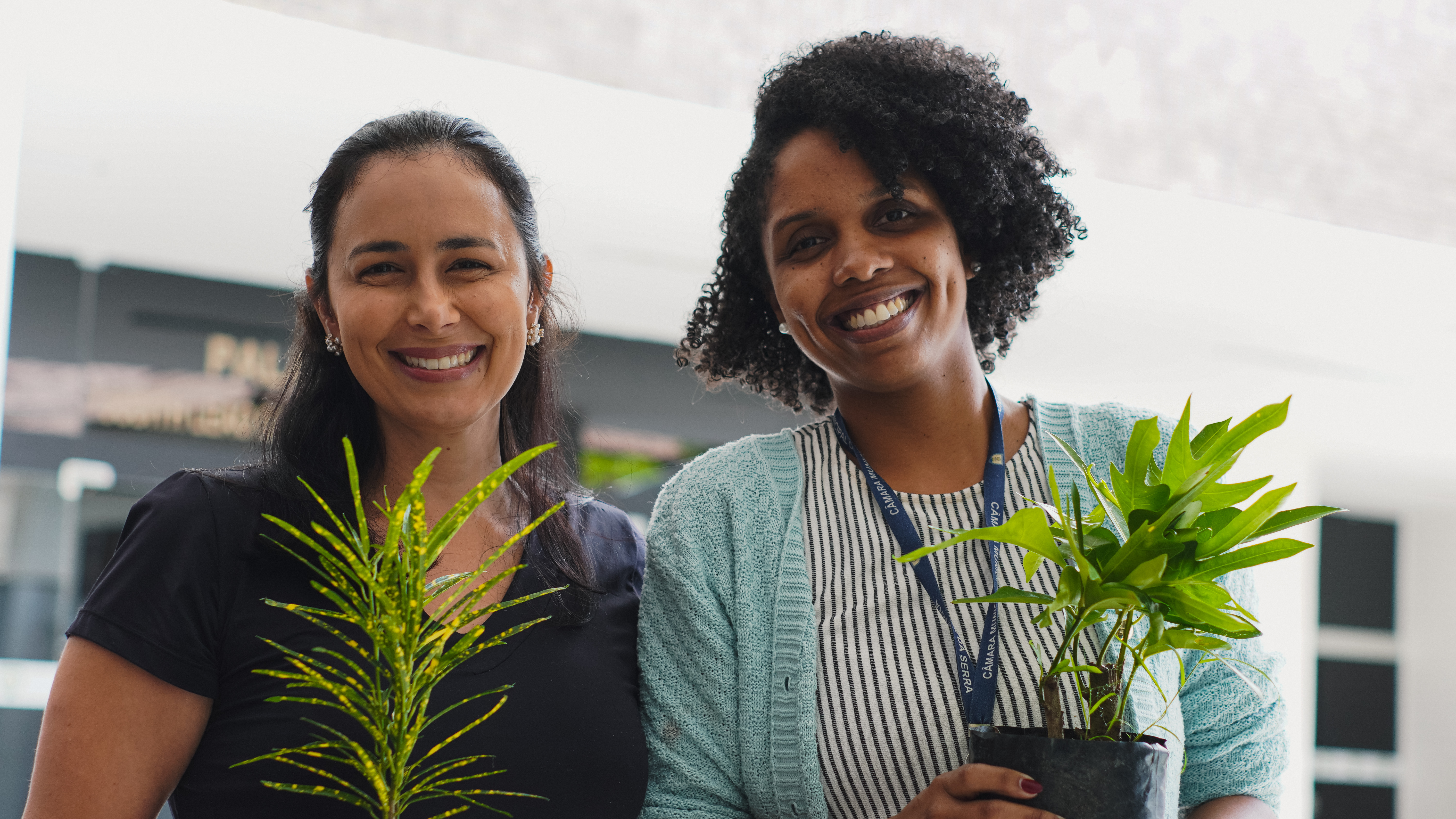 Câmara Municipal da Serra promove doação de mudas de plantas em celebração ao Junho Verde